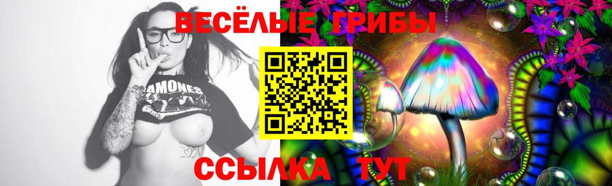 Псилоцибиновые грибы MAGIC MUSHROOMS  Вход с VPN  Галлюциногенные грибы Psilocybine cubensis  Каменка 
