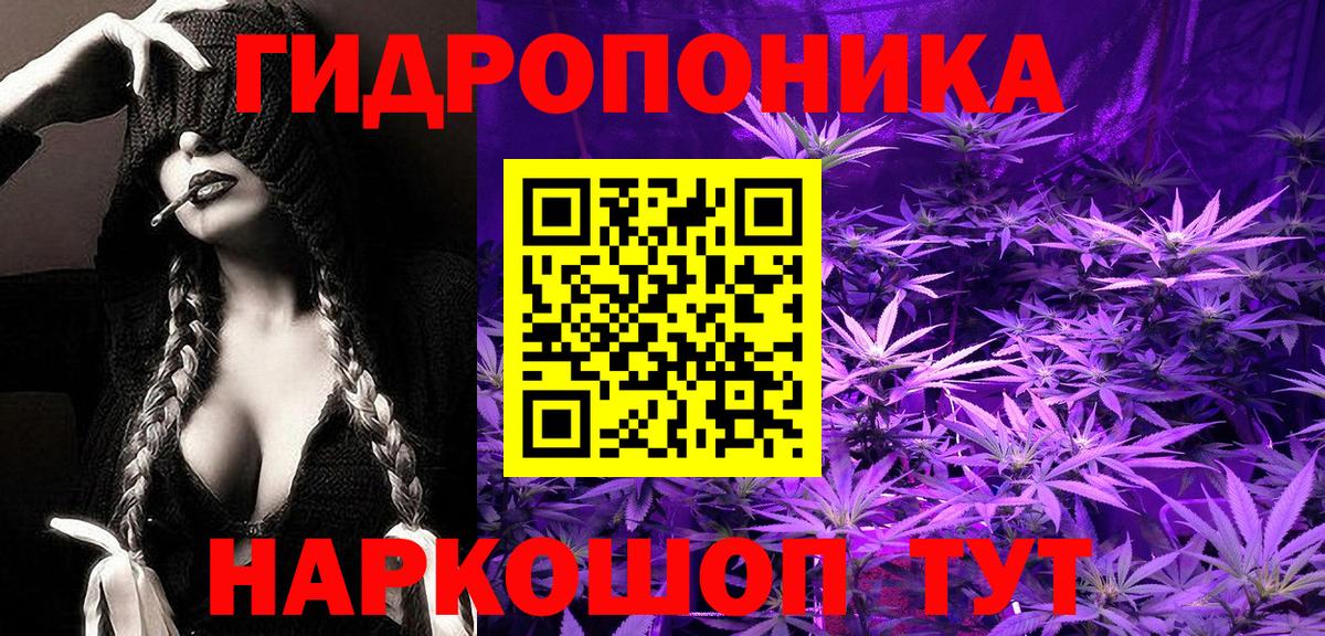 Бошки Шишки Amnesia Каменка